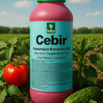 CEBİR (Qan Dərmanı)
