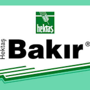 BAKİR (hektaş)