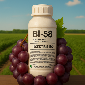 Bİ-58